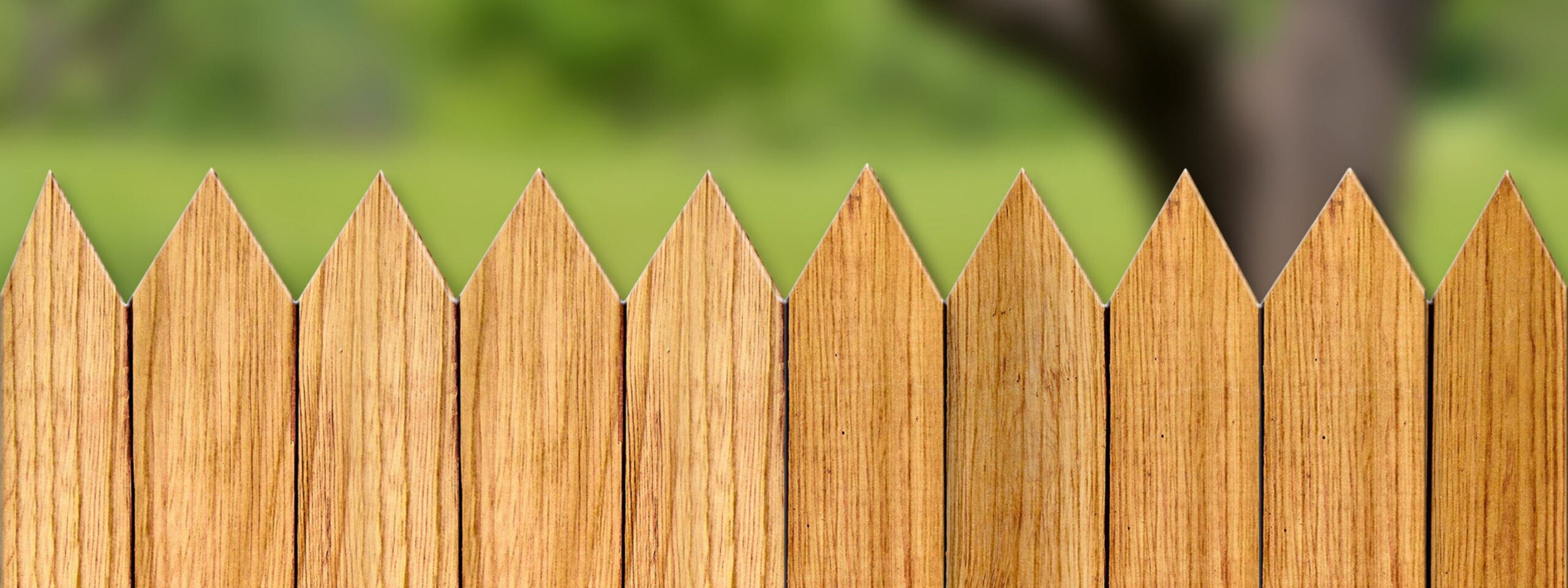 Building Resilience Podcast