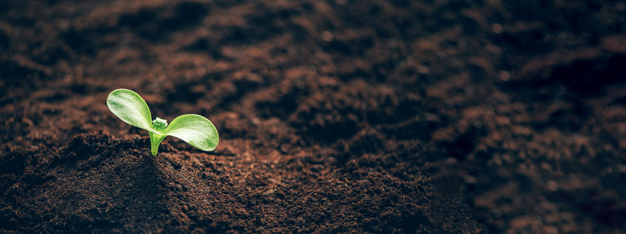 Building Resilience Podcast